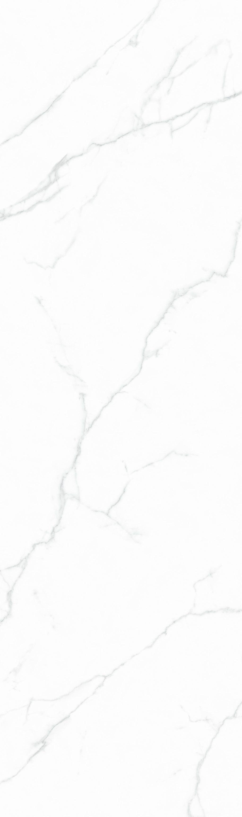 Carrara Fine Line White
