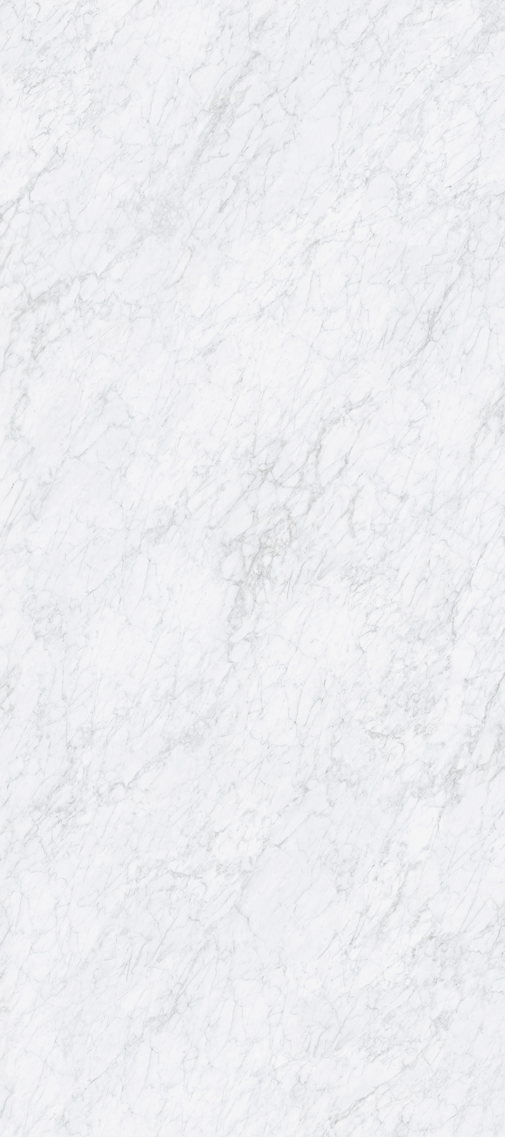 Italy White Carrara