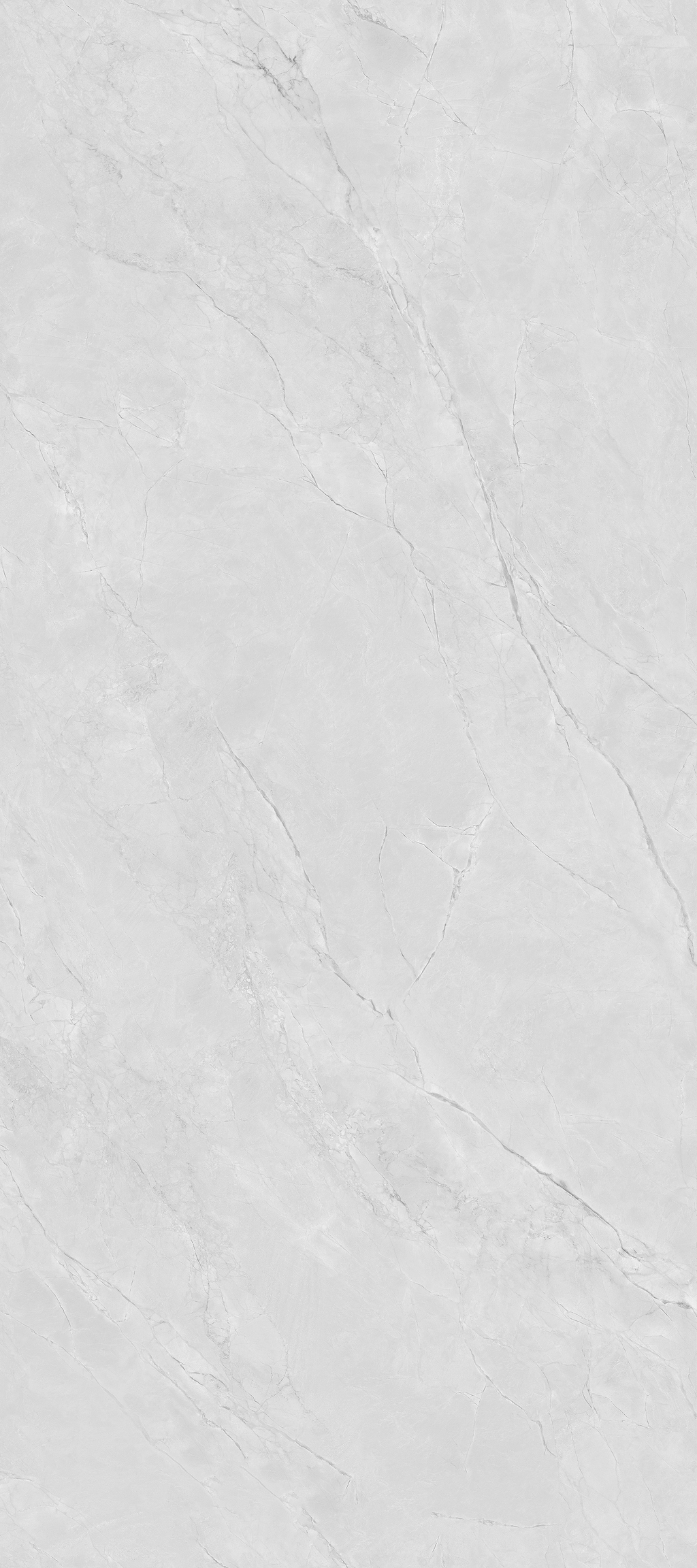 Baikal Fish Maw Grey