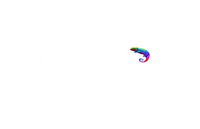 Building Your Dreams A Wide Range of Quality Tiles for All Your Needs