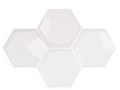 Water Cube